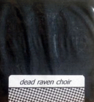 Dead Raven Choir : Sturmfuckinglieder